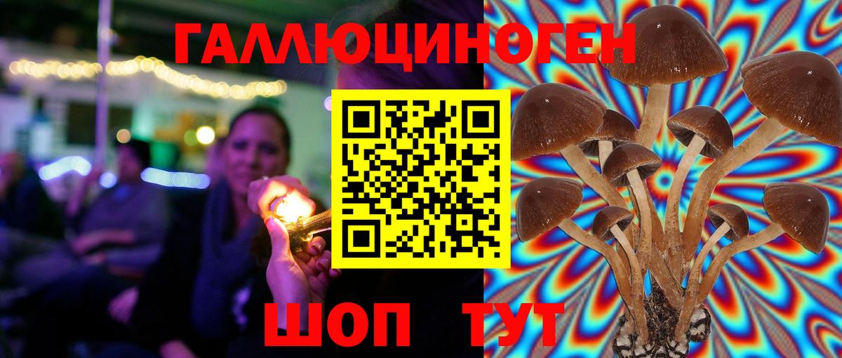 Верхний Уфалей  Псилоцибиновые грибы ЛСД  Галлюциногенные грибы мицелий  Вход с VPN 